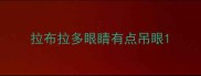 拉布拉多眼睛有点吊眼