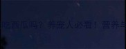 哈士奇能吃西瓜吗养宠人必看营养与风险全