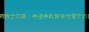 2个月泰迪自制狗粮全攻略手把手教你做出营养均衡的狗界米其林