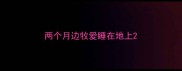 两个月边牧爱睡在地上