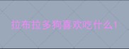拉布拉多狗喜欢吃什么