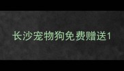 长沙宠物狗免费赠送