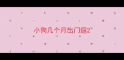 小狗几个月出门遛