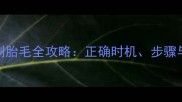 金毛幼犬剃胎毛全攻略正确时机步骤与注意事项