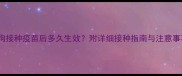 狗狗接种疫苗后多久生效附详细接种指南与注意事项