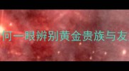 金毛vs拉布拉多如何一眼辨别黄金贵族与友好天使超全对比