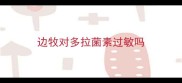 边牧对多拉菌素过敏吗