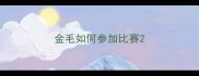 金毛如何参加比赛