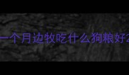 一个月边牧吃什么狗粮好