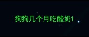 狗狗几个月吃酸奶
