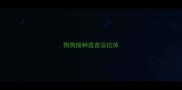 狗狗接种疫苗没抗体