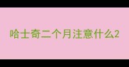 哈士奇二个月注意什么