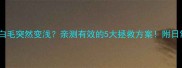 泰迪犬头顶白毛突然变浅亲测有效的5大拯救方案附日常护理全攻略