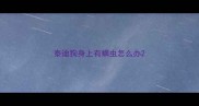 泰迪狗身上有螨虫怎么办