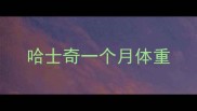 哈士奇一个月体重