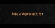 如何分辨狼和哈士奇