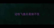 边牧飞盘总是接不住
