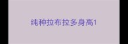 纯种拉布拉多身高