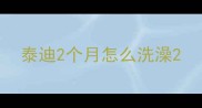 泰迪2个月怎么洗澡