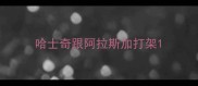 哈士奇跟阿拉斯加打架