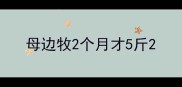 母边牧2个月才5斤