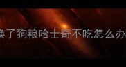 换了狗粮哈士奇不吃怎么办