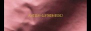 犬疫苗什么时候制假的