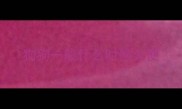 狗狗一般什么时候大便