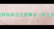 犬类疫苗接种全攻略核心种类接种指南及注意事项附北京上海地址