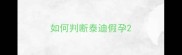 如何判断泰迪假孕