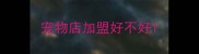 宠物店加盟好不好