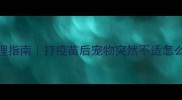 疫苗后宠物异常反应处理指南打疫苗后宠物突然不适怎么办附紧急处理流程