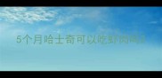 5个月哈士奇可以吃虾肉吗