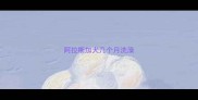 阿拉斯加犬几个月洗澡