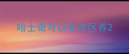 哈士奇可以在市区养