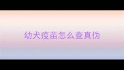 幼犬疫苗怎么查真伪