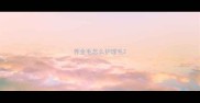 养金毛怎么护理毛