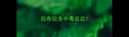 拉布拉多中毒反应