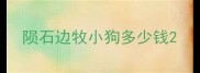 陨石边牧小狗多少钱