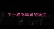 关于猫咪脚趾的病变