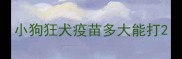 小狗狂犬疫苗多大能打