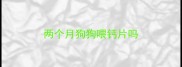 两个月狗狗喂钙片吗