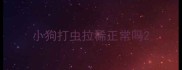 小狗打虫拉稀正常吗