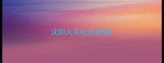 沈阳火车托运宠物