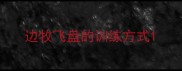 边牧飞盘的训练方式