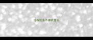 拉布拉多不喜欢什么