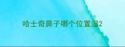 哈士奇鼻子哪个位置湿