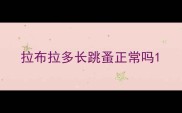 拉布拉多长跳蚤正常吗