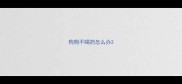狗狗不喝药怎么办
