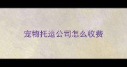宠物托运公司怎么收费
